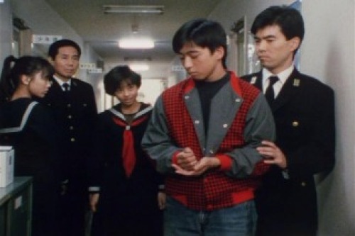 PDVD_011.jpg