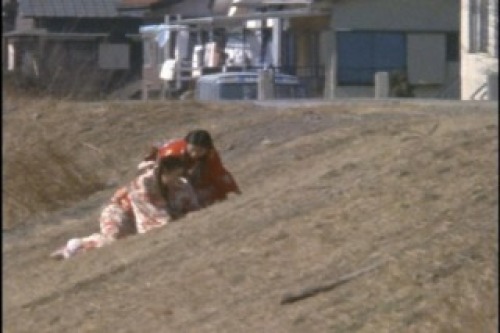 PDVD_054.jpg