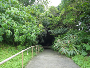 沖縄128.jpg