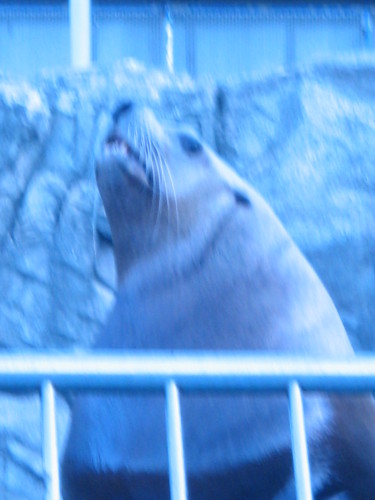 IMG_4378.JPG