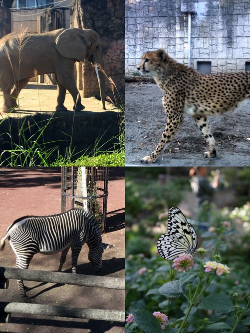 2015年10月多摩動物公園.jpg