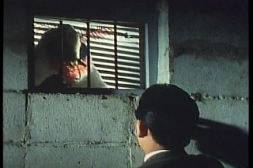 PDVD_013.jpg