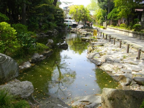 蕨城 (3) (500x375).jpg