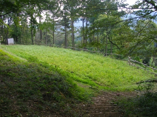 津久井城腰曲輪 (1) (500x375).jpg