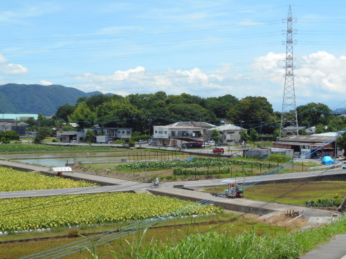 中世宇土城より遠景 (2).JPG