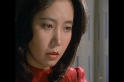 PDVD_019.jpg