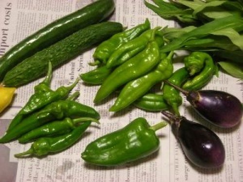 DSCN2953 (300x225).jpg