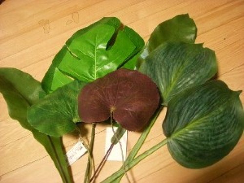 DSCN1596 (300x225).jpg