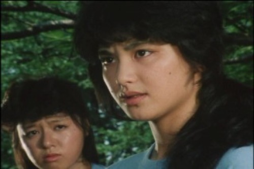 PDVD_010.jpg