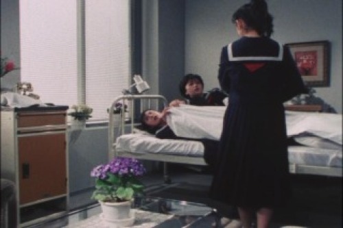 PDVD_024.jpg