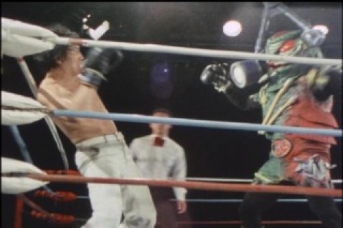 PDVD_022.jpg