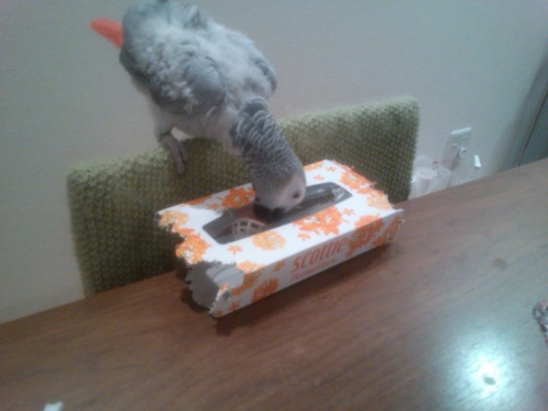 5 メイでーす♪.JPG