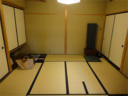 かわせみ6.jpg