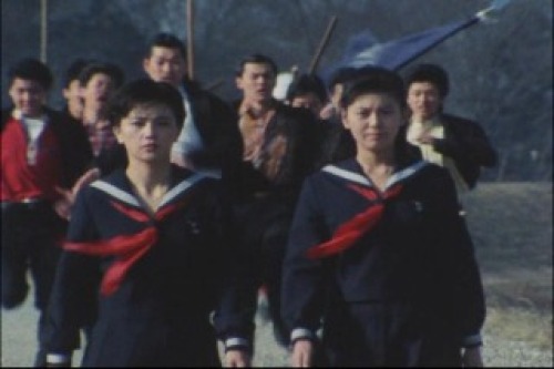 PDVD_020.jpg