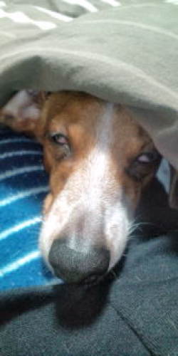 20120203222305.jpg
