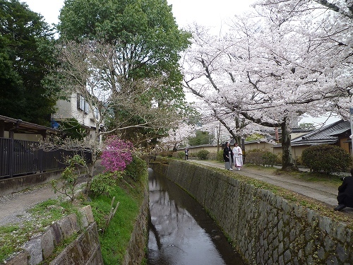 P1030950.jpg