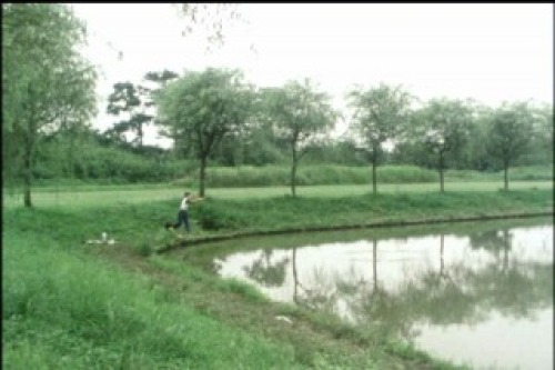 PDVD_007.jpg