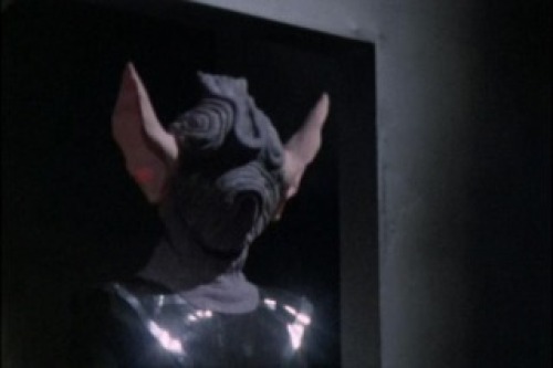 PDVD_051.jpg