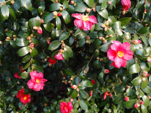 20140118-1.JPG