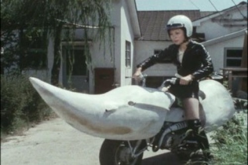 PDVD_018.jpg