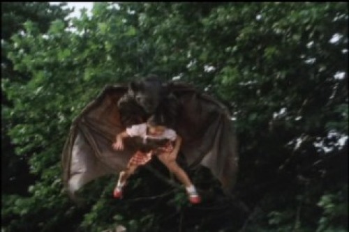 PDVD_020.jpg