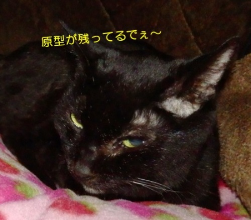 20150115_3.jpg