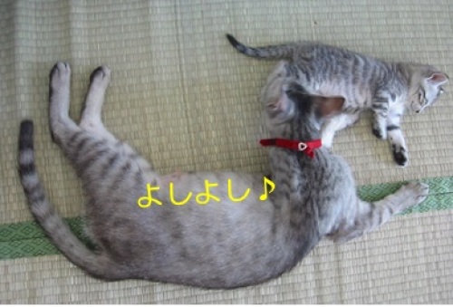 201400130_2.jpg