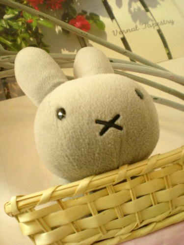 Ｃ・ＭＯＯＮの商品達 018 (3).JPG