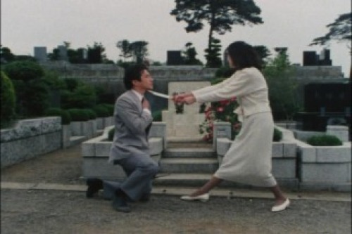 PDVD_028.jpg