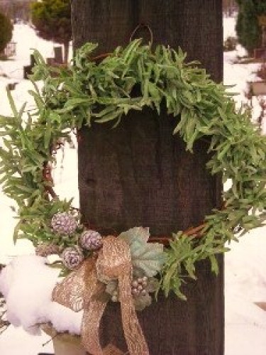 DSCN1350 (300x225).jpg