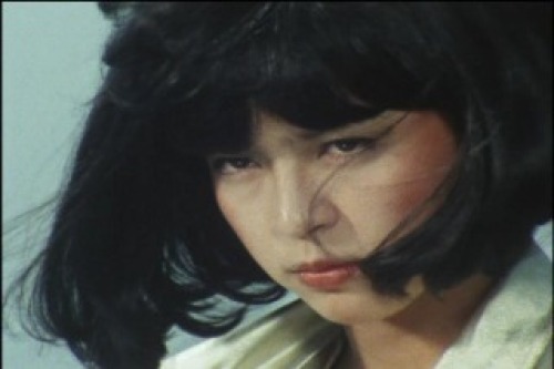 PDVD_016.jpg