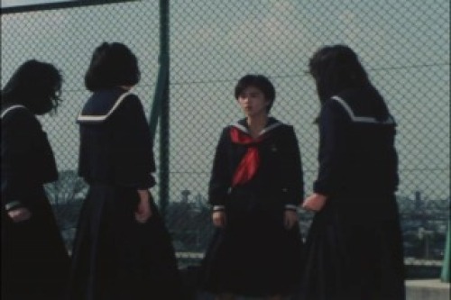 PDVD_011.jpg