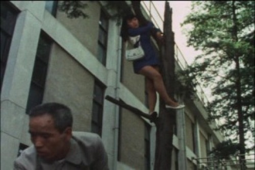 PDVD_002.jpg