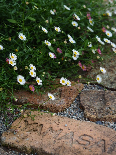 PA050030.JPG