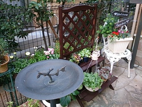 DSC_0316.jpg
