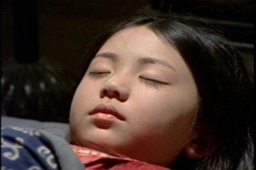 PDVD_007.jpg