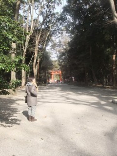 下鴨神社01.jpg