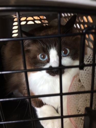 IMG_8760 - コピー.JPG