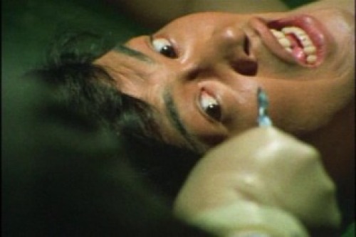 PDVD_003.jpg