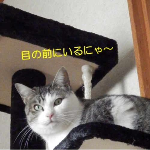 201400128_3.jpg