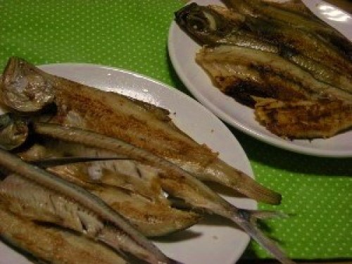 DSCN3018 (300x225).jpg