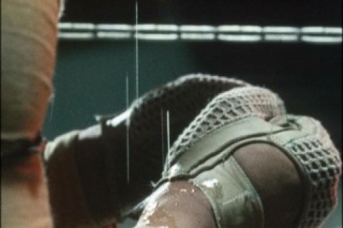 PDVD_008.jpg