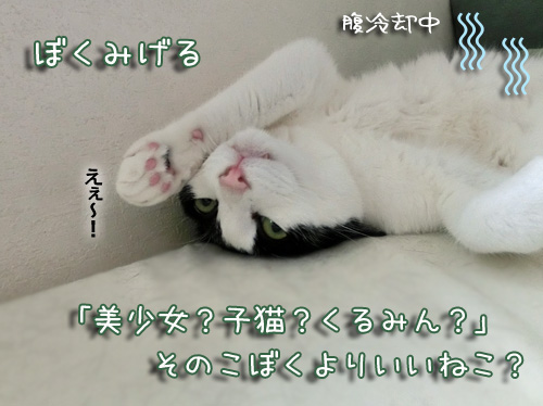 ﾐｹﾞ.jpg