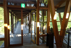 土佐山37.jpg