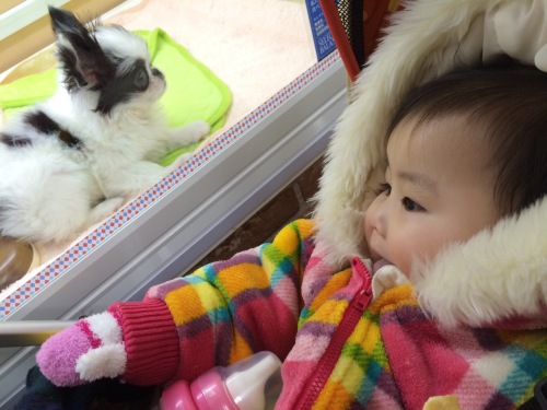 201501051352_2760_iphone.jpg
