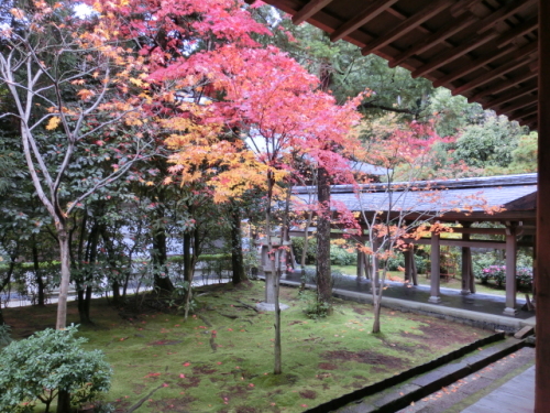 CIMG0858.JPG