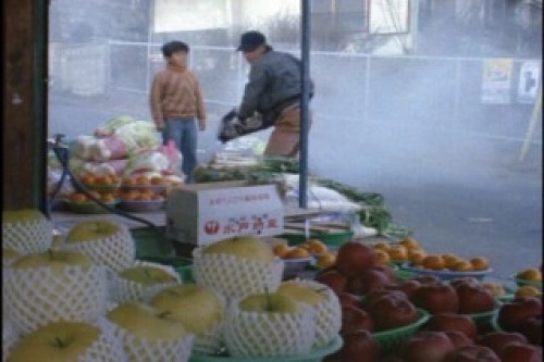 PDVD_018.jpg