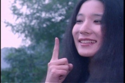PDVD_004.jpg