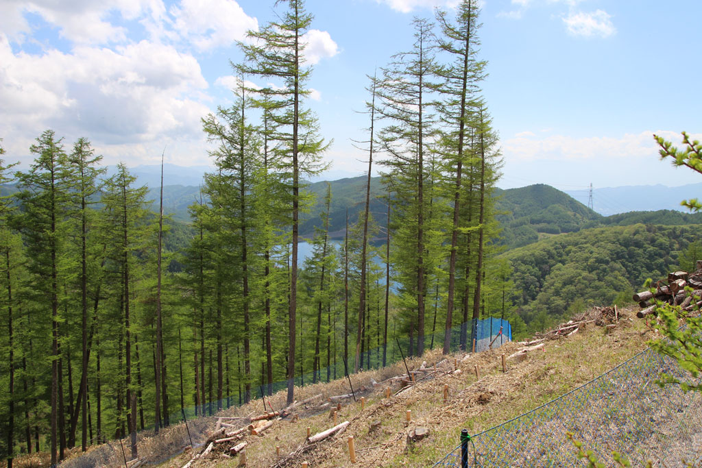 Daibosatsu2017052816.JPG