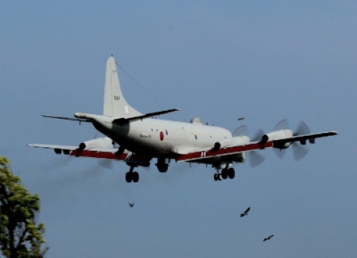 IMG_6064 (400x289).jpg